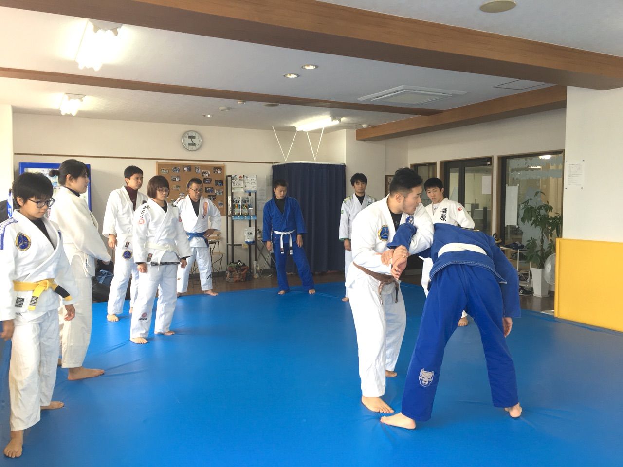グレイシー柔術 仙台